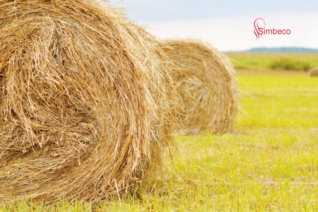 Giới thiệu về dây cuộn rơm